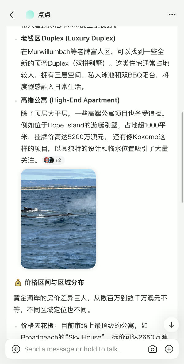 RedNote AI assistant 点点 answering about Gold Coast luxury homes and naming Kokomo for its distinctive design and waterfront position